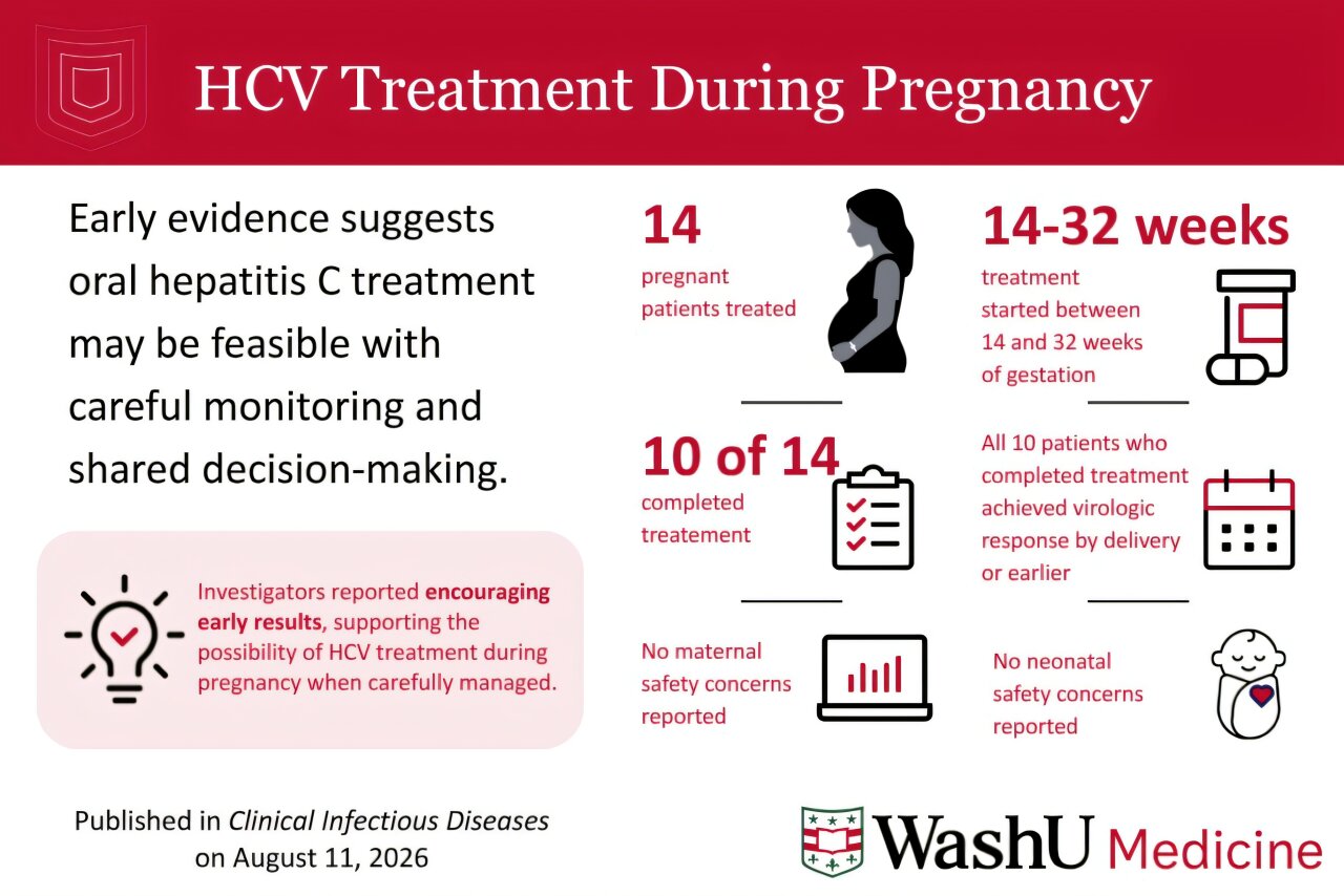 New research shows promise for treating hepatitis C in pregnancy
