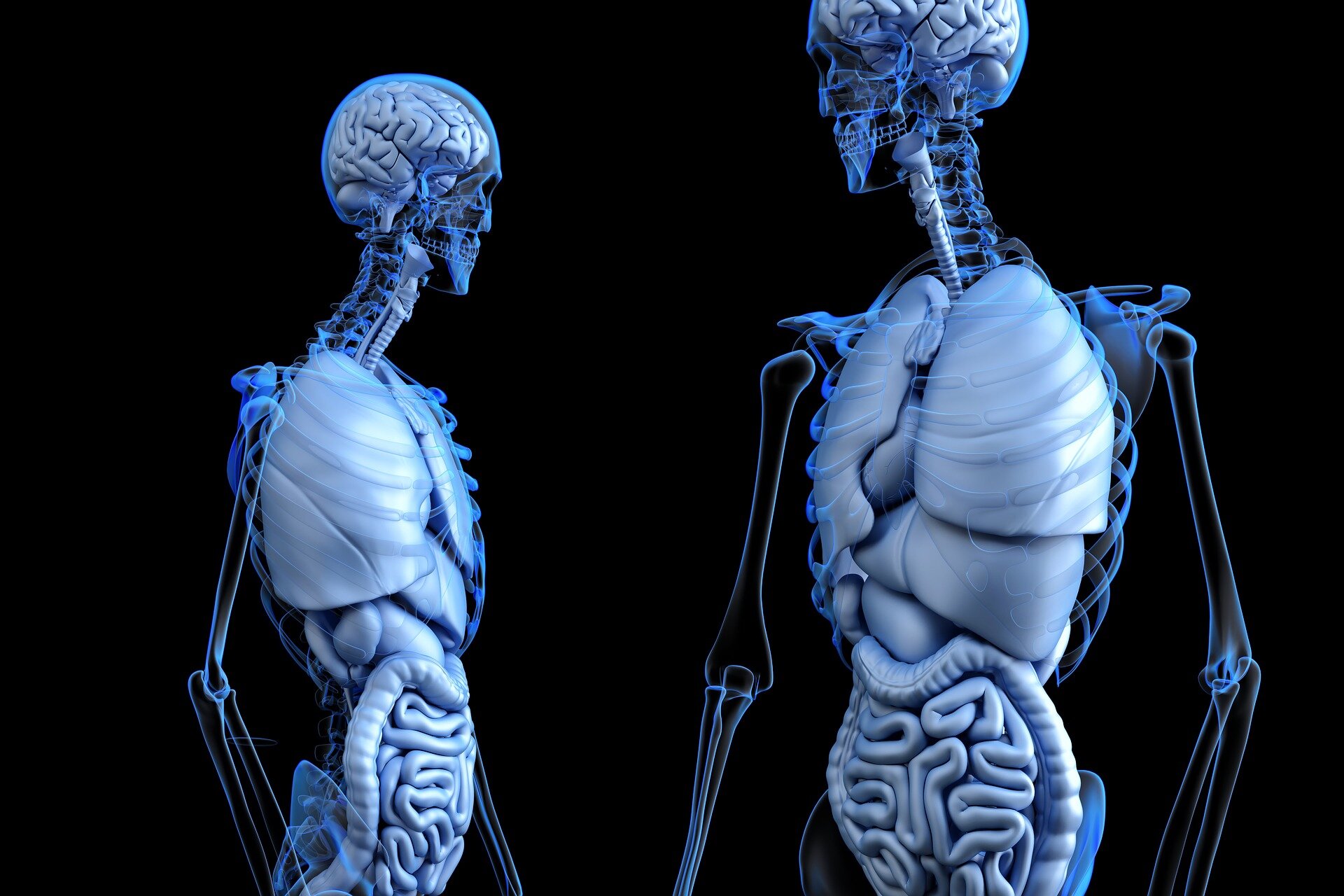 Liver and brain pathways drive distinct symptoms in a rare epilepsy model