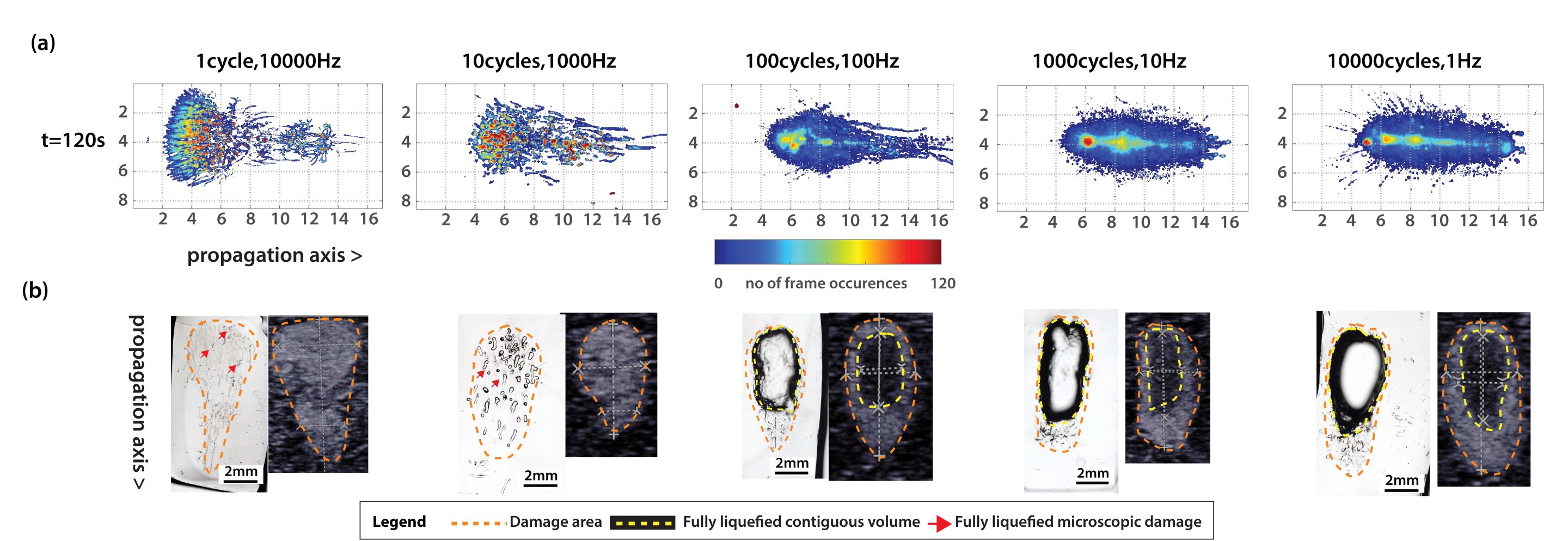 Same duty cycle, very different outcomes: What tough materials taught us about histotripsy