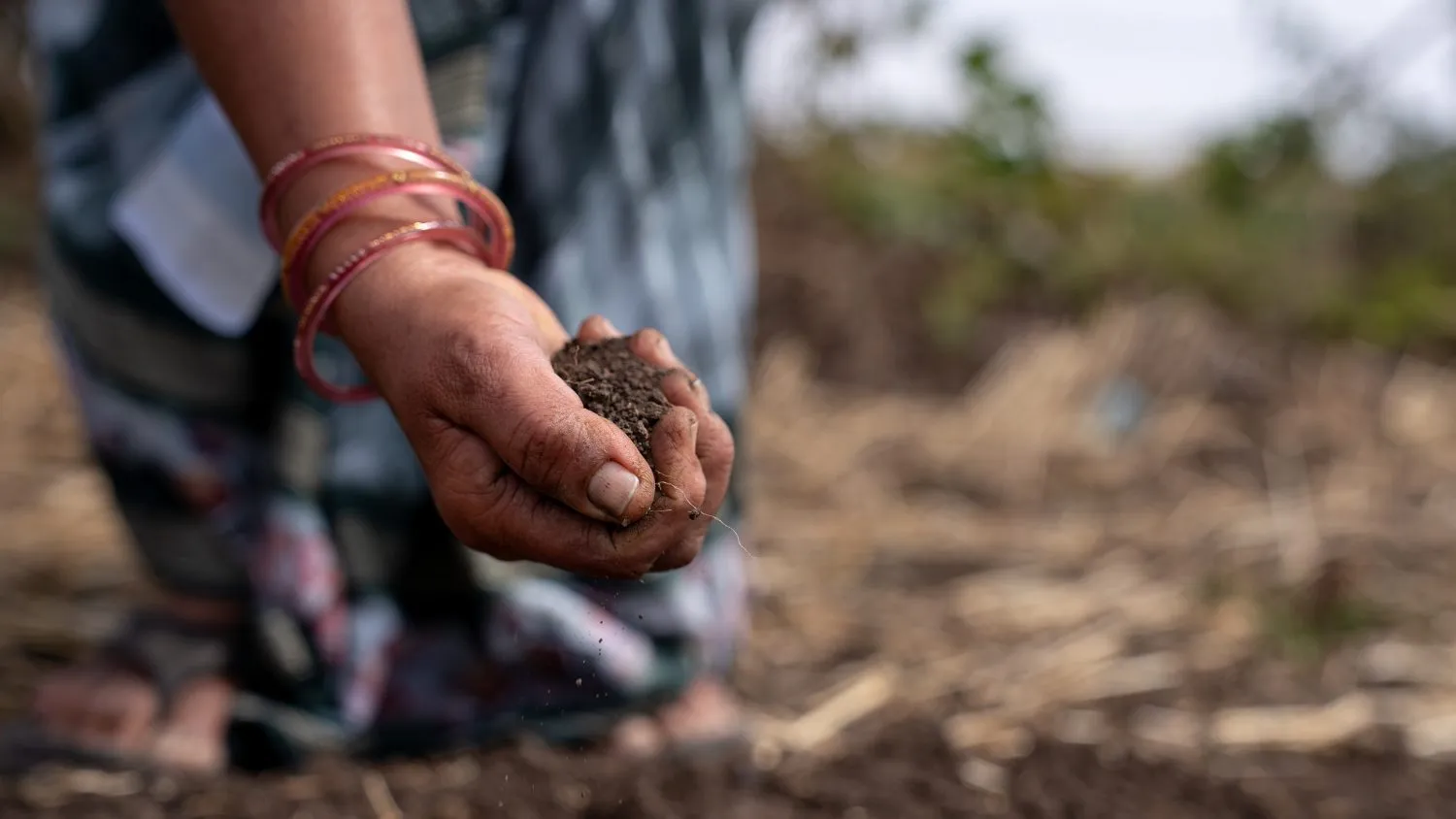 How People and Planet Intersect in BCI’s Regenerative Standards System