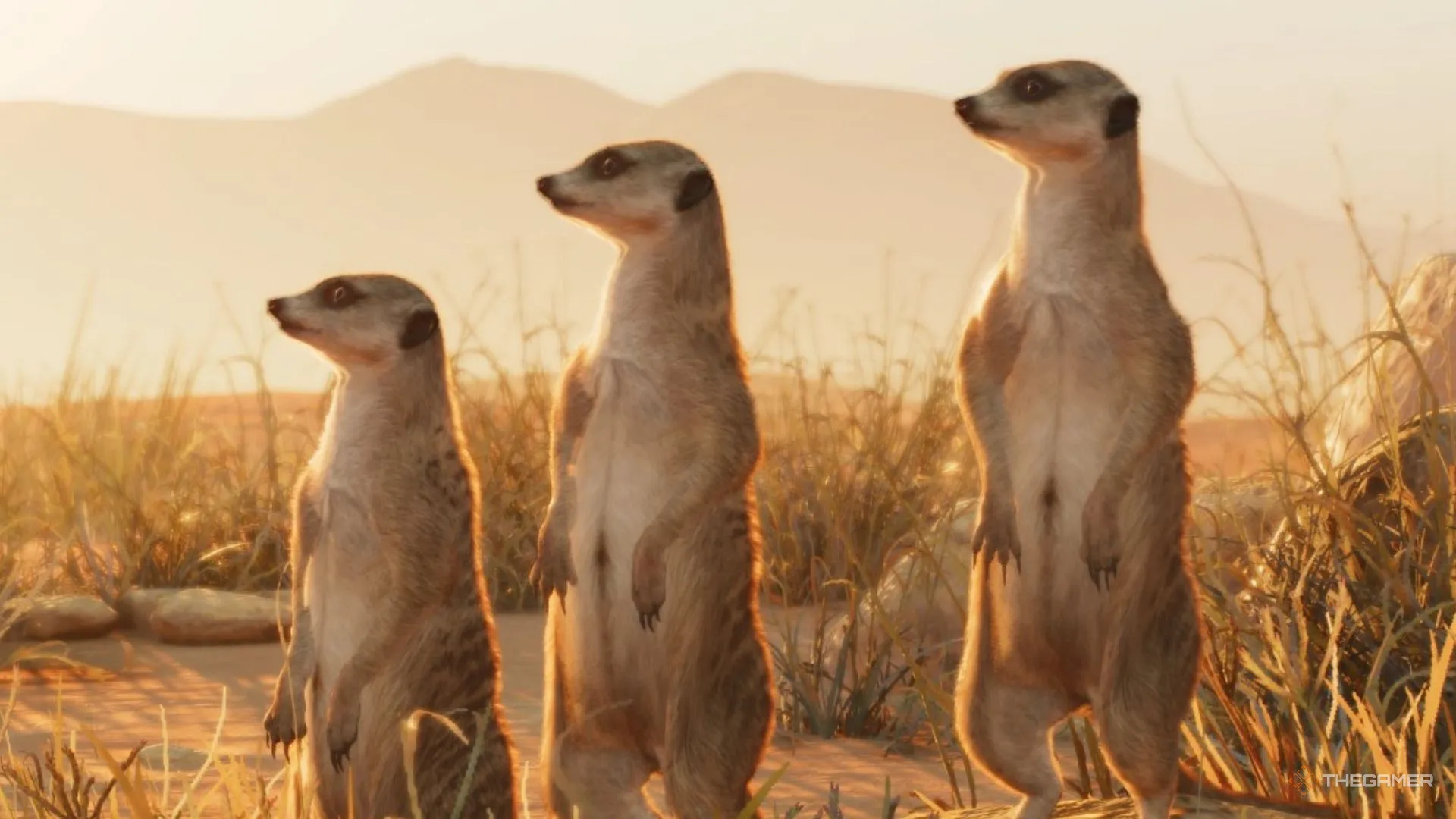 All Animals Available In Planet Zoo 2
