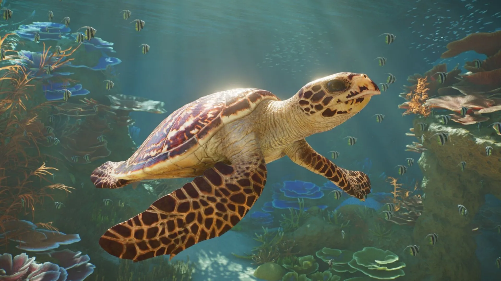 Planet Zoo 2 Is The Perfect Game For People Who Get Distracted By Animals
