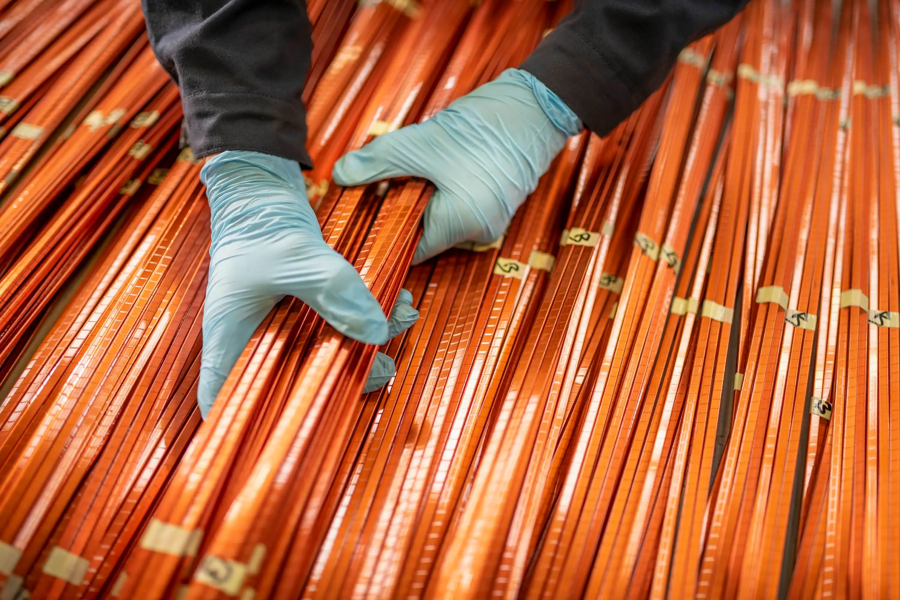 Giraffe Bio aims its bespoke biomolecules at the looming copper shortage