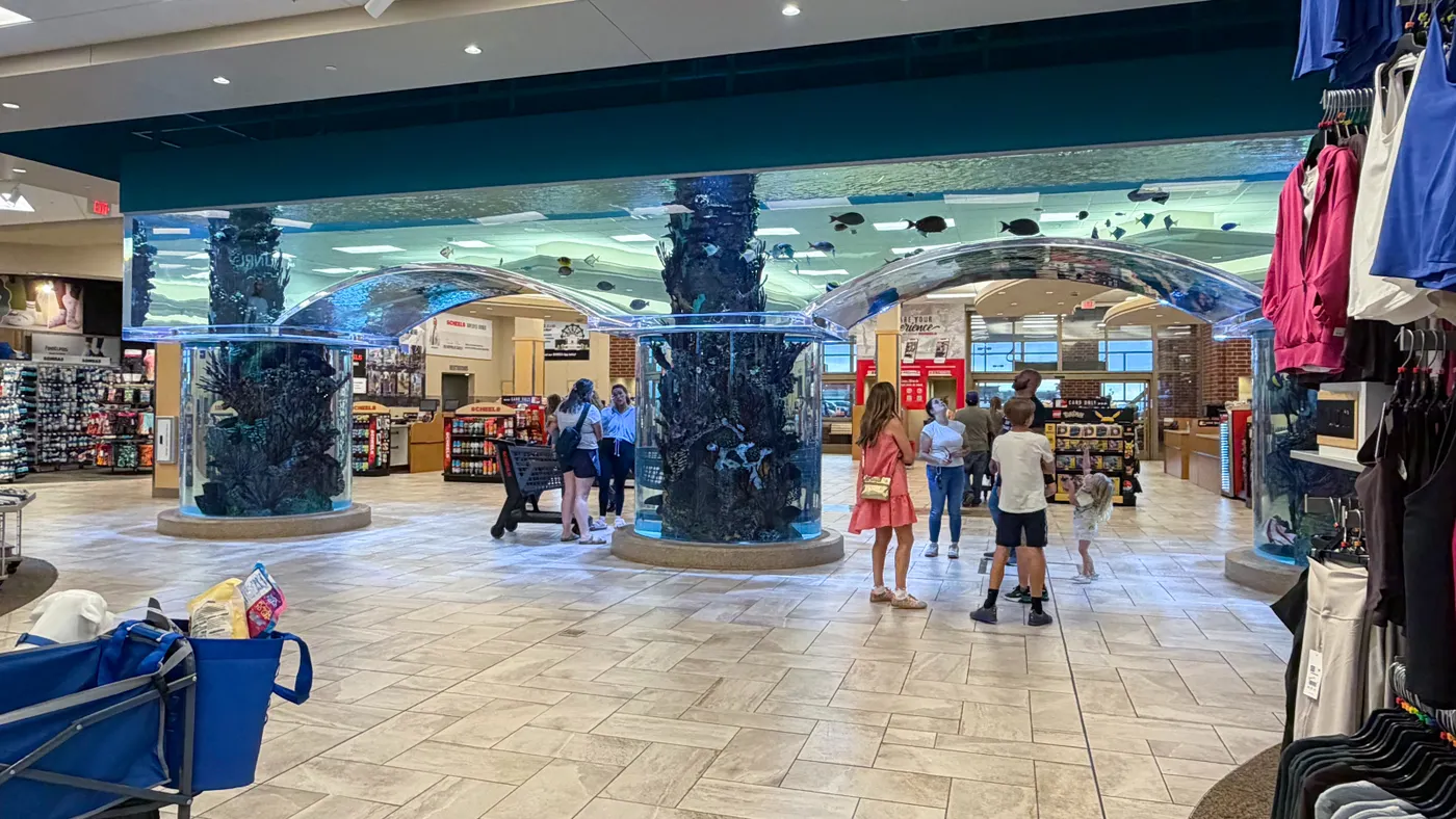 Reporter’s notebook: Inside Scheels’ sporting goods wonderland