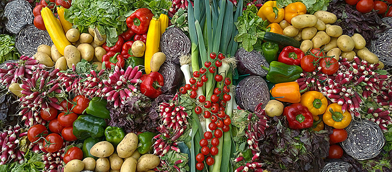 How a diet free from animal proteins challenges the liver