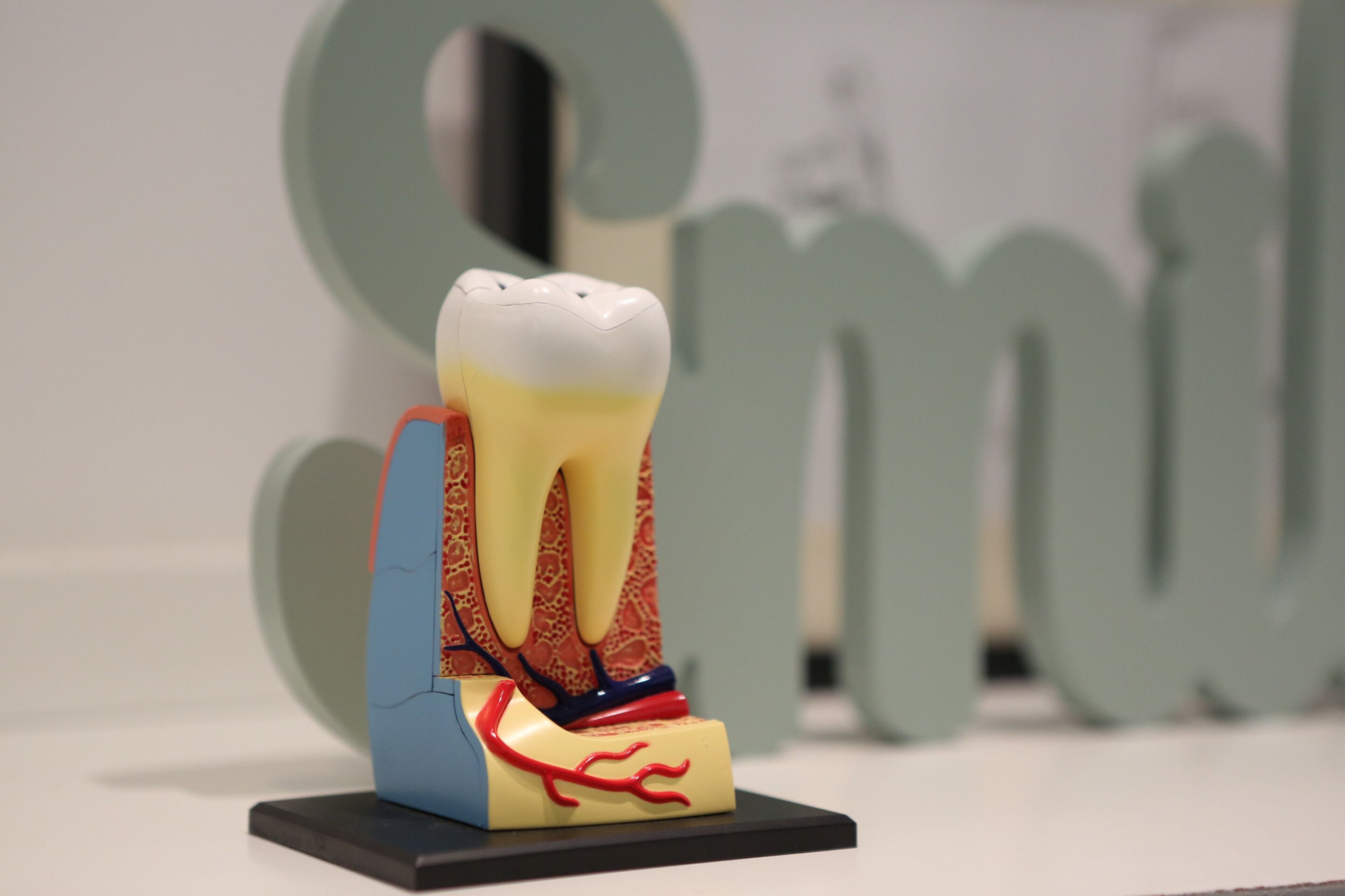 First case of teeth growing out of an eye socket—what you need to know about 'ectopic teeth'