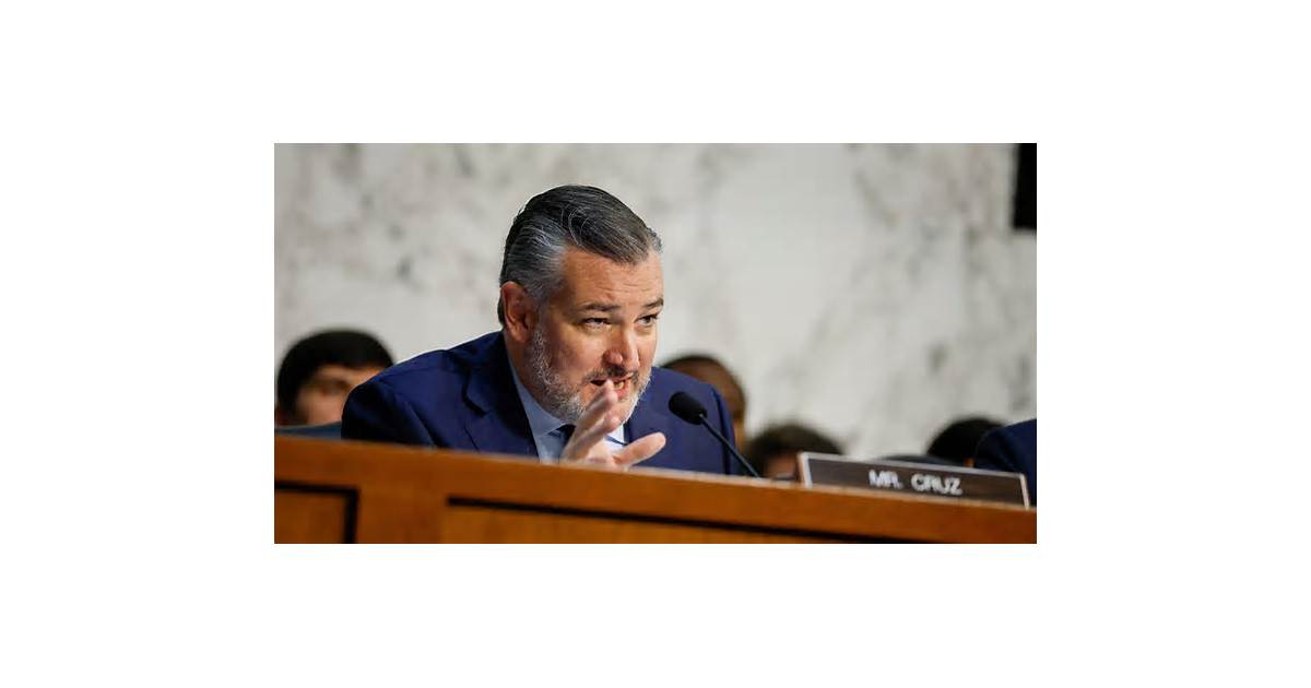 US Senate report says spending on consultants for internet subsidy program tops $200 million annually