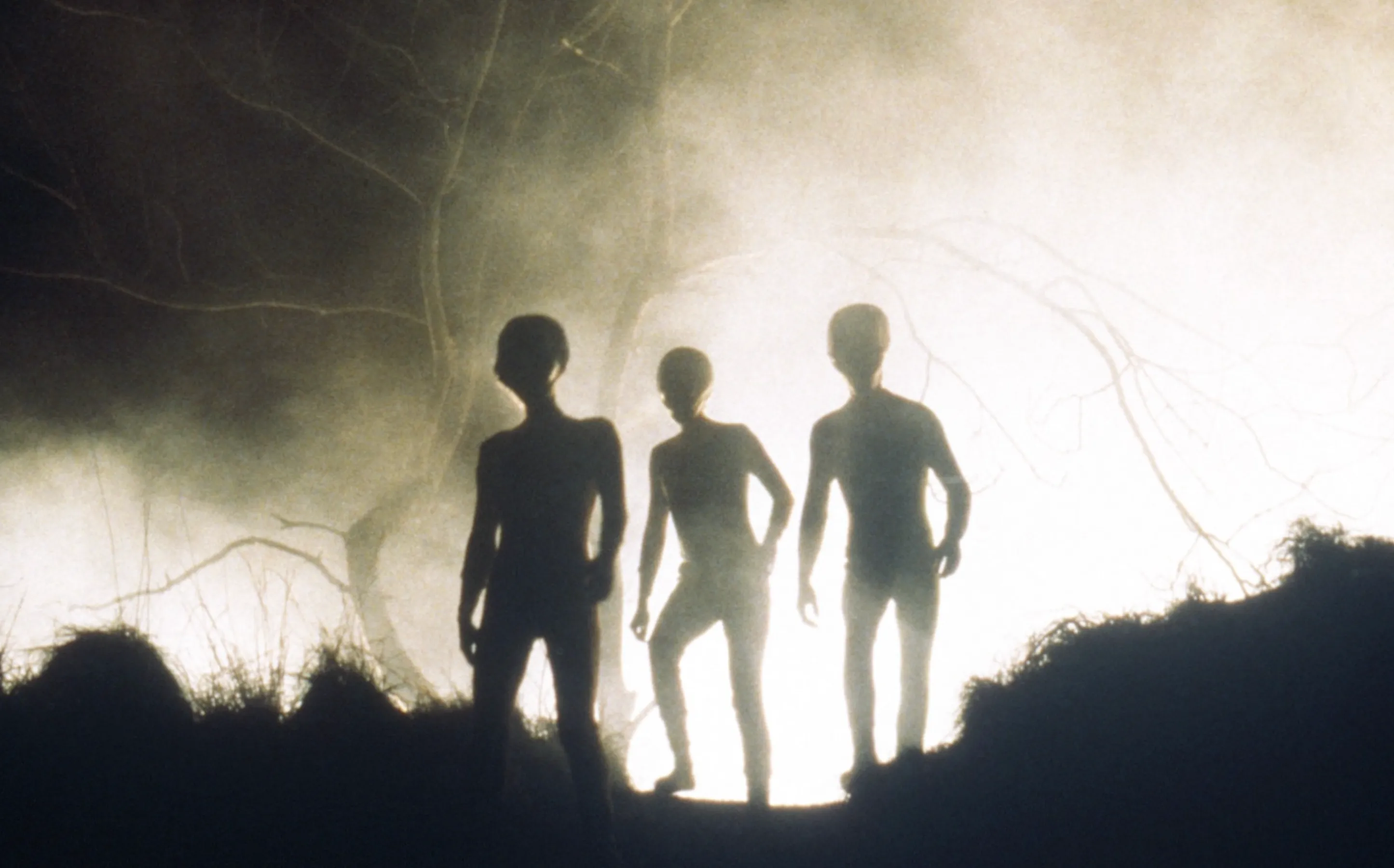 Hulu Officially Confirms New Reboot of an All-Time Classic Sci-Fi Series