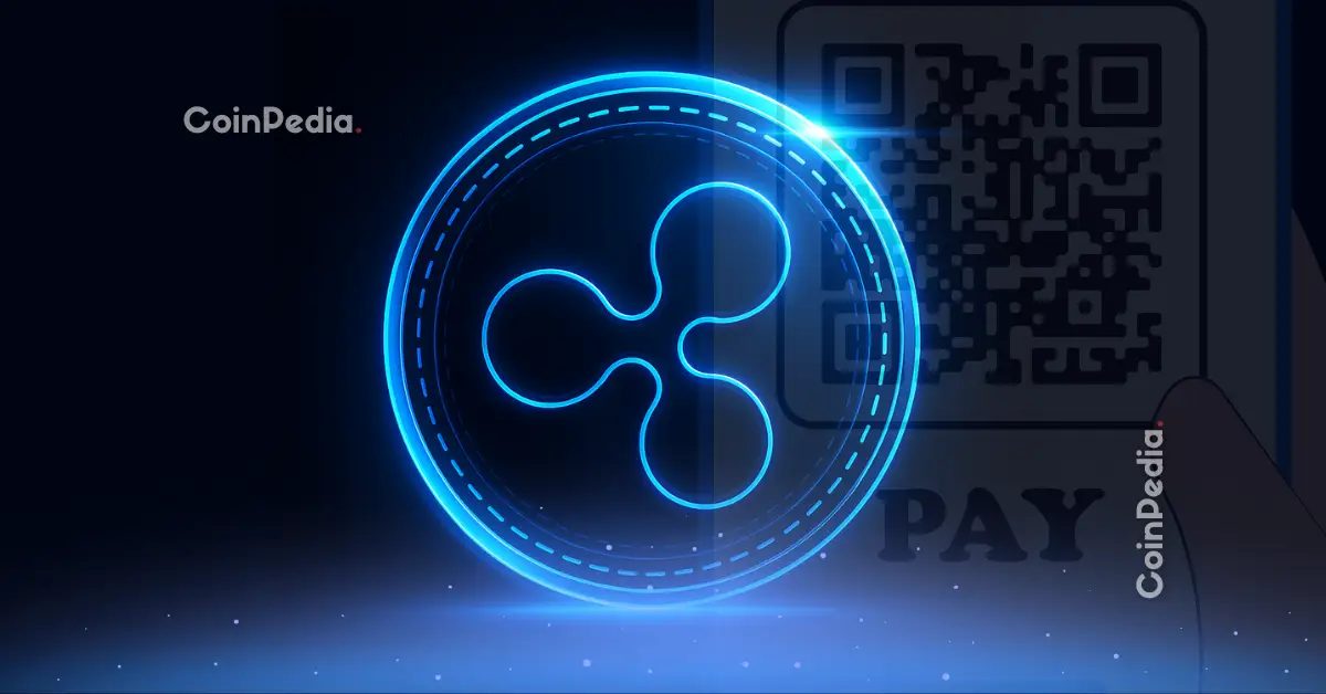 XRP News: Ripple Partners With Stripe’s Privy to Expand XRP Ledger Wallets
