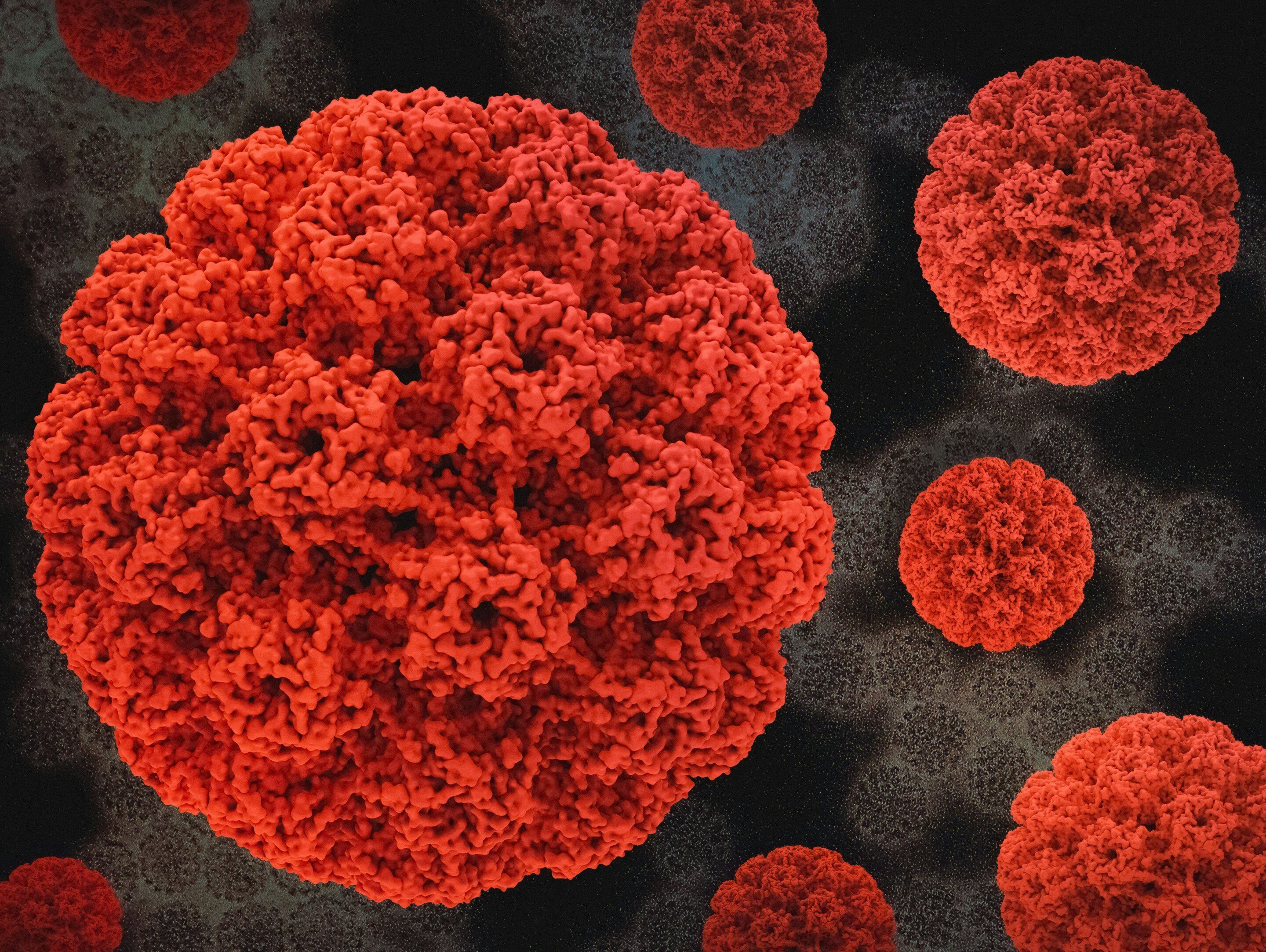 WHO experts recommend HPV shot for girls aged 4–8