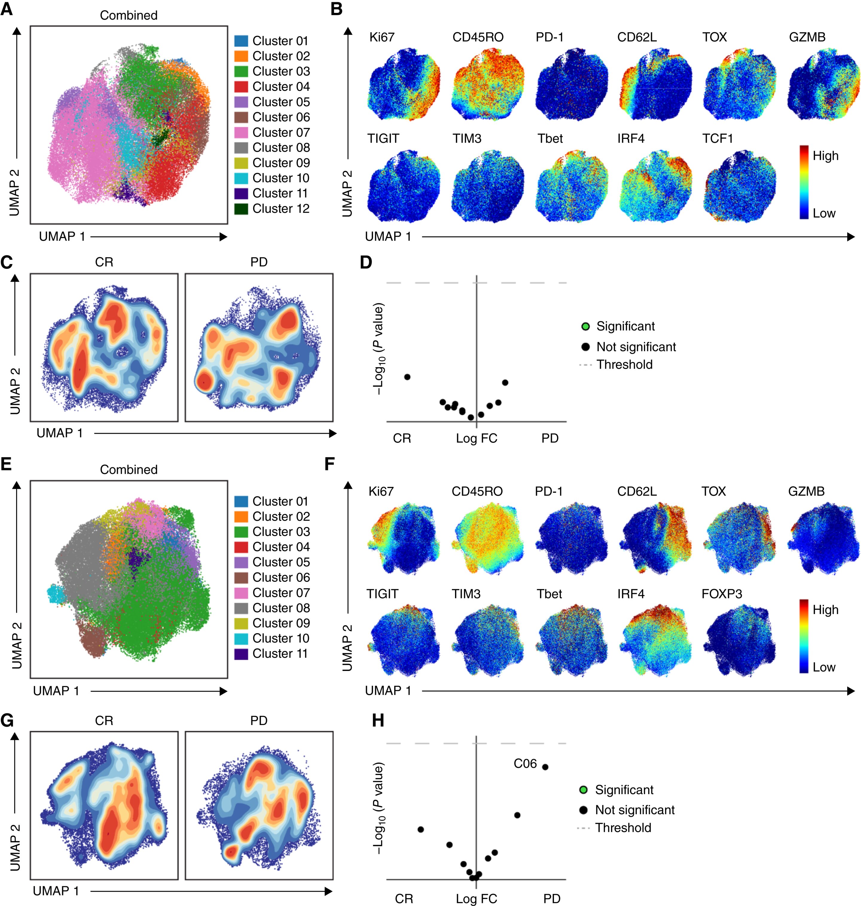 Enhanced CAR T-cell therapy shows early promise for B-cell cancers in first-in-human trial