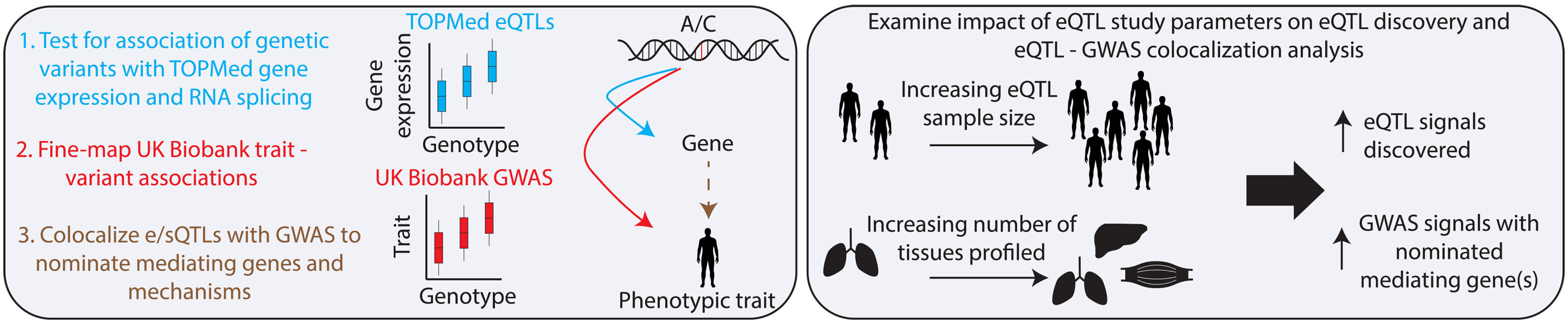 Bigger data reveal the second, third and fourth switches controlling a gene