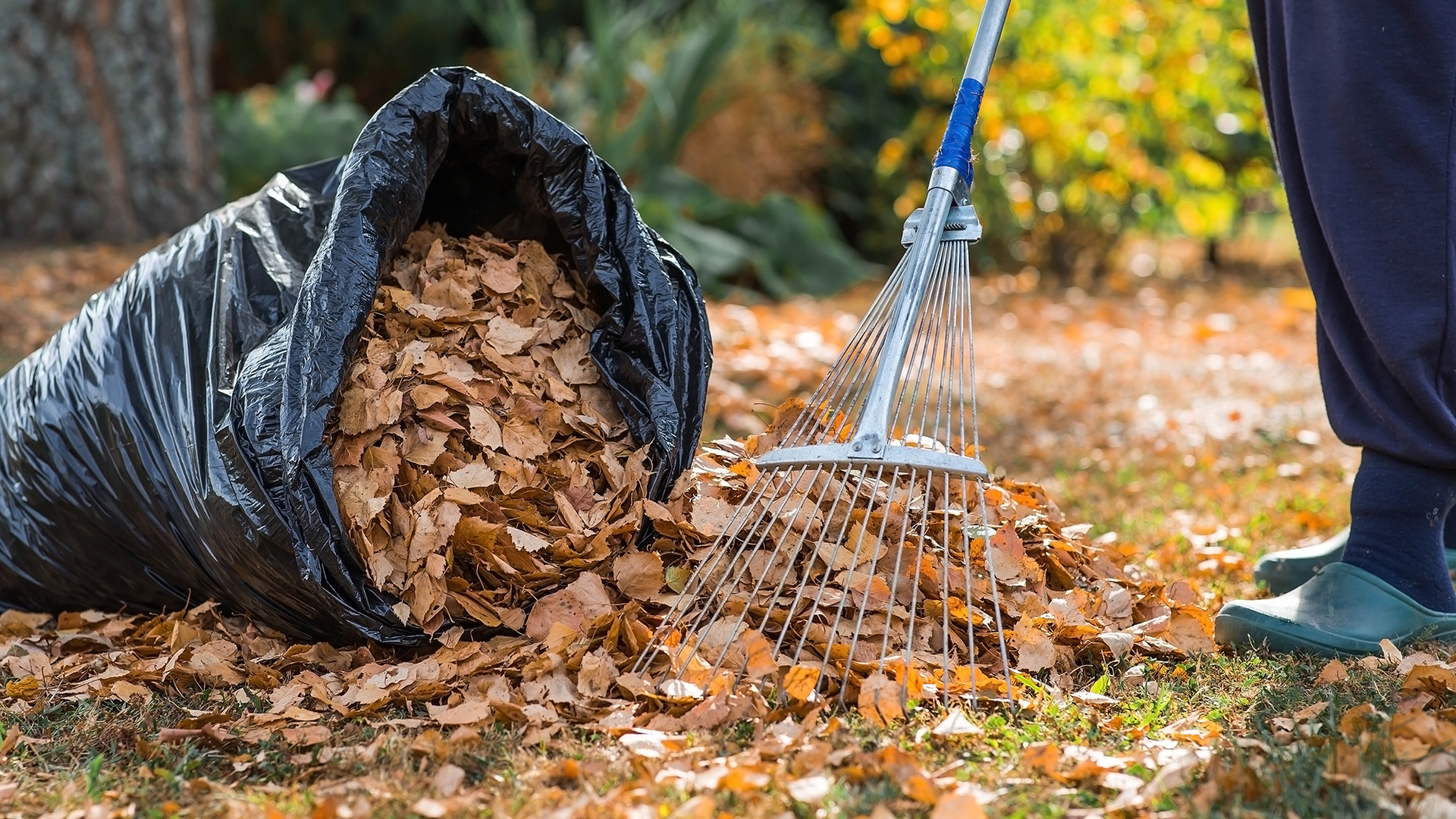 The fall lawncare mistake you’re probably making — and the secret to a greener lawn next spring