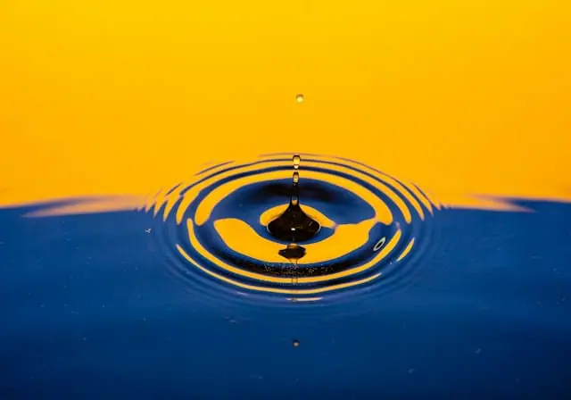 Quensus bets on prevention data to tackle costly water claims