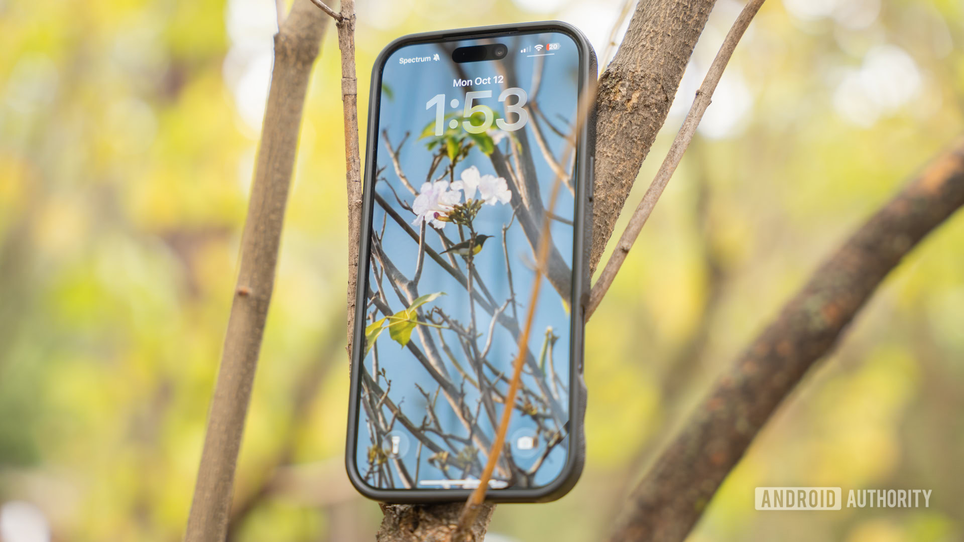 Wallpaper Wednesday: More great phone wallpapers for all to share (October 14)