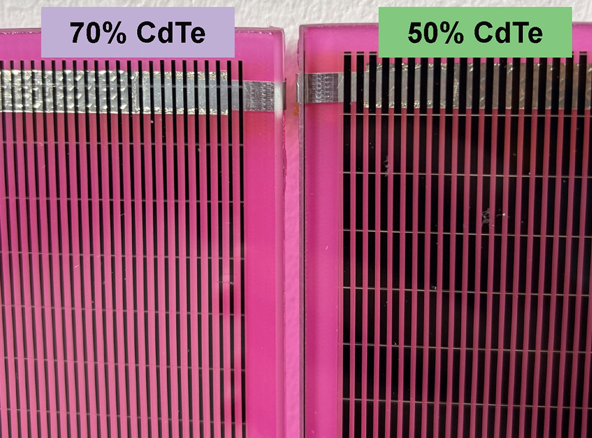 Magenta CdTe solar panels support broccoli cultivation in agrivoltaic trial