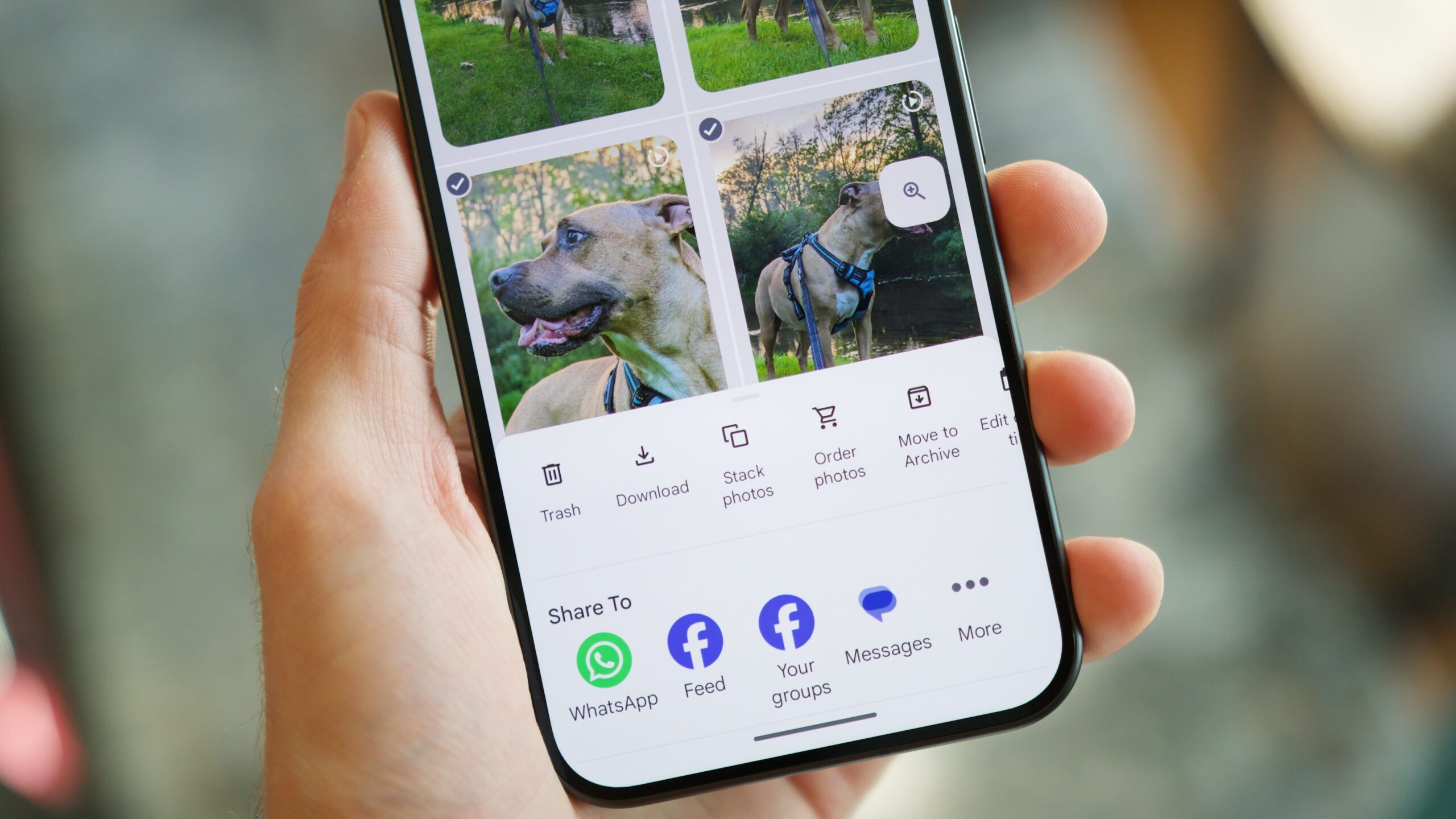 Here’s your first look at smarter album browsing in Google Photos