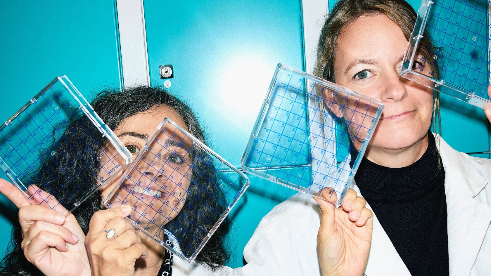 Immune system discoveries reveal how body balances defense, protection and repair