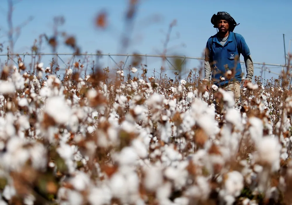 Why Good Earth Cotton Says “regenerative” Is Not Enough