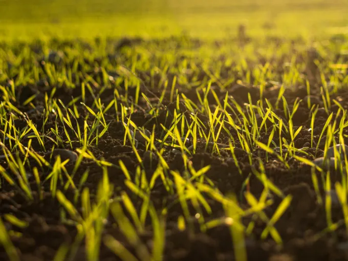 Groundwork BioAg Secures A ‘BBB’ Carbon Rating By BeZero