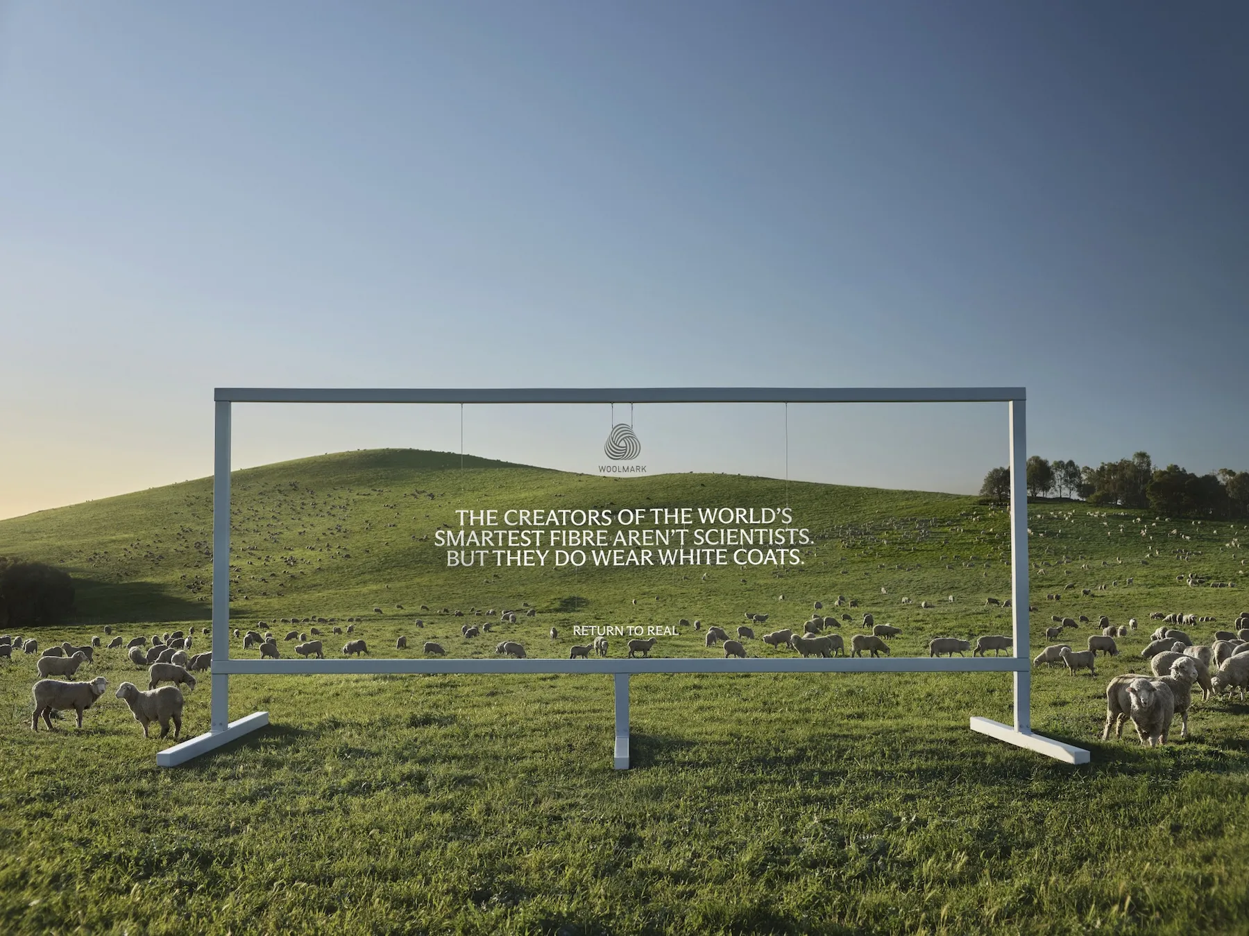 Woolmark Puts Sheep at the Center of Its AI-Era Campaign