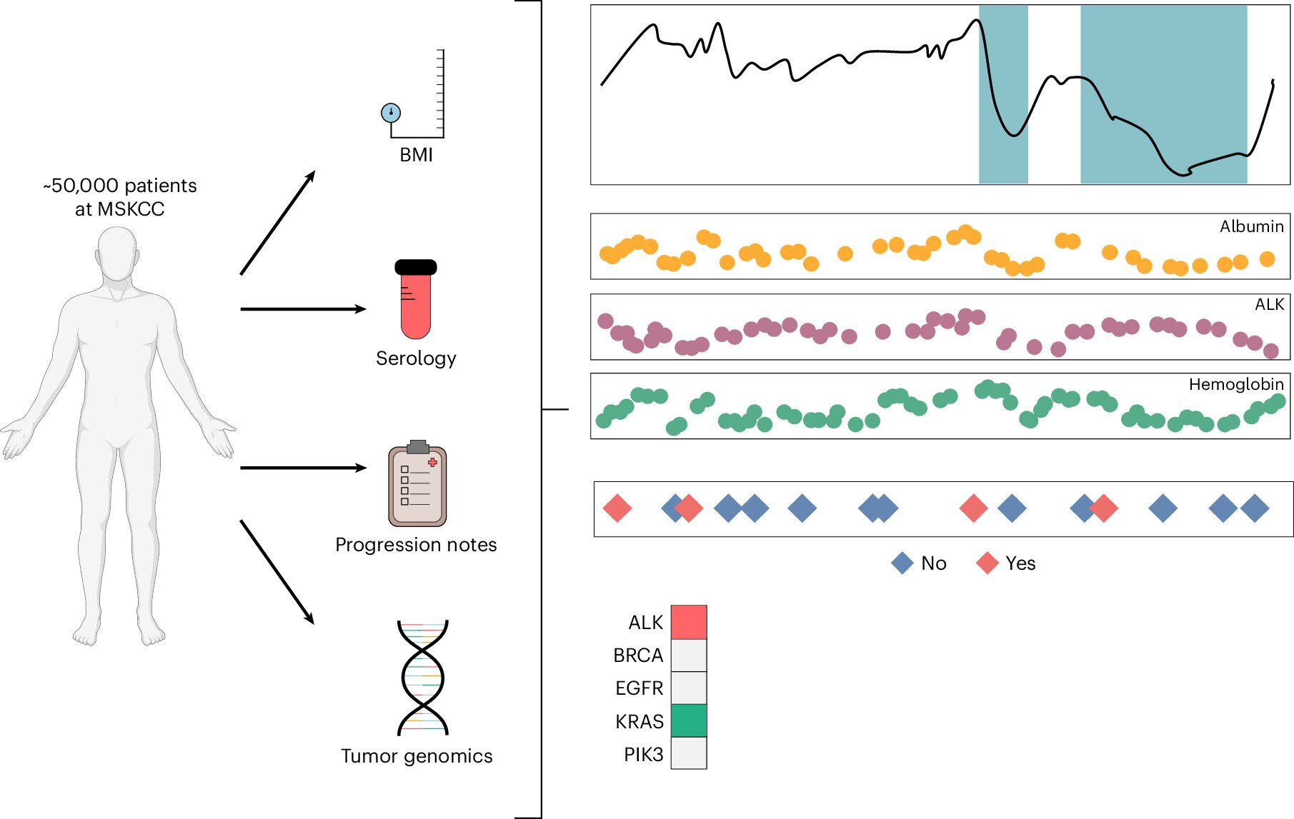 Insights about cachexia, one of cancer's most common complications, hiding in routine patient data