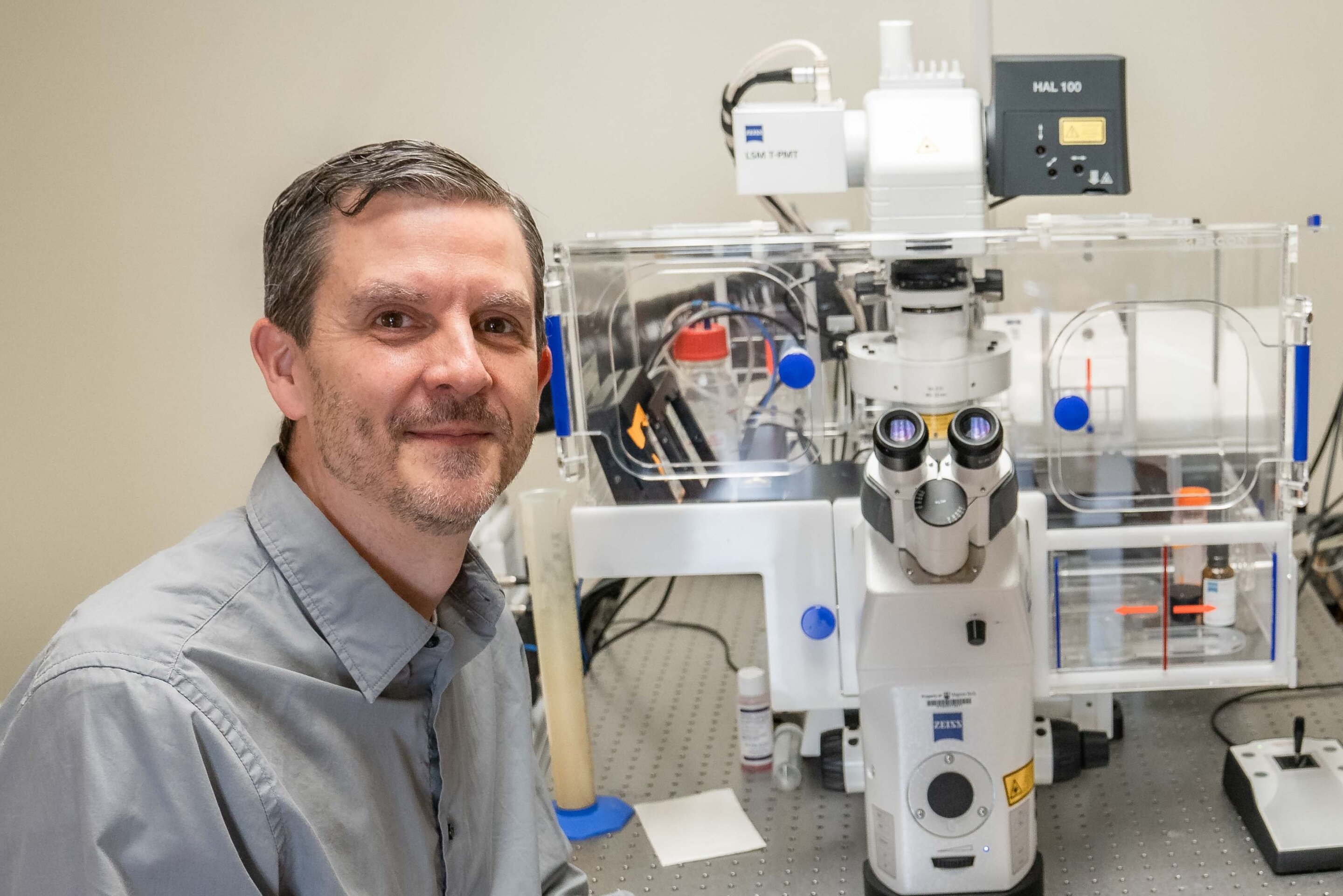 Placental protein may offer clues to early brain development