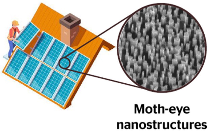 Scientists develop moth-eye-inspired antireflective surfaces for PV modules