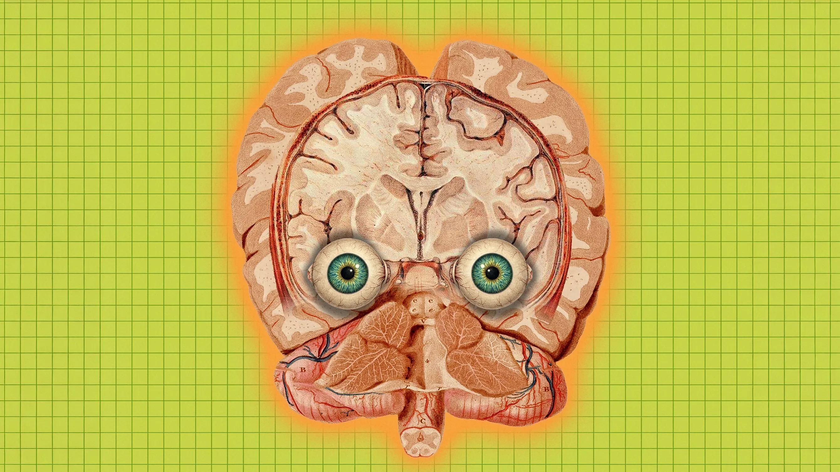 Six wild ideas for perpetuating your mind