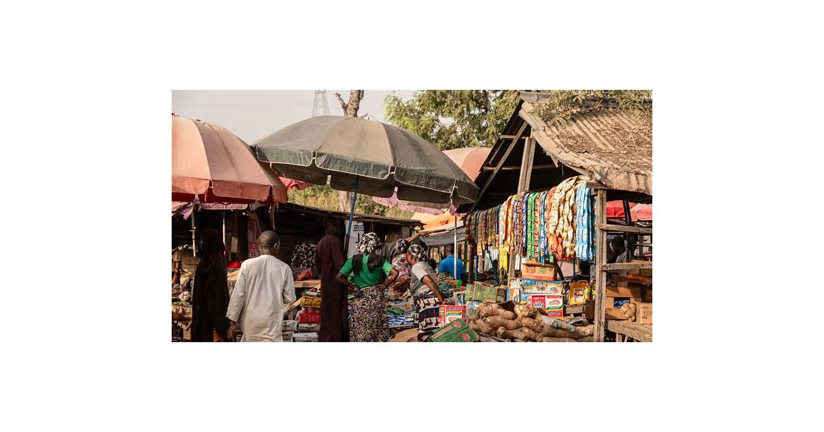IMF Says Africa Showing Resilience but More Vulnerable to Shocks