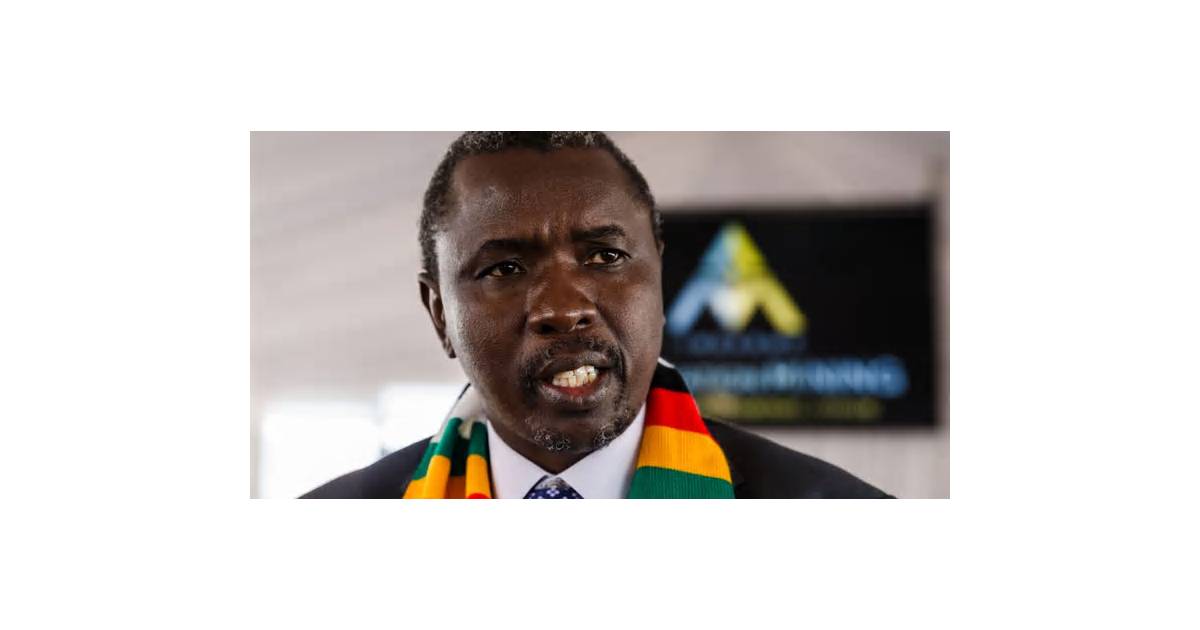 US-Sanctioned Tycoon Strengthens Hold on Zimbabwe Ruling Party