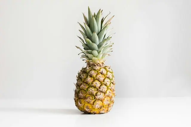 Pineapple Financial launches AI platform under Pentiv brand