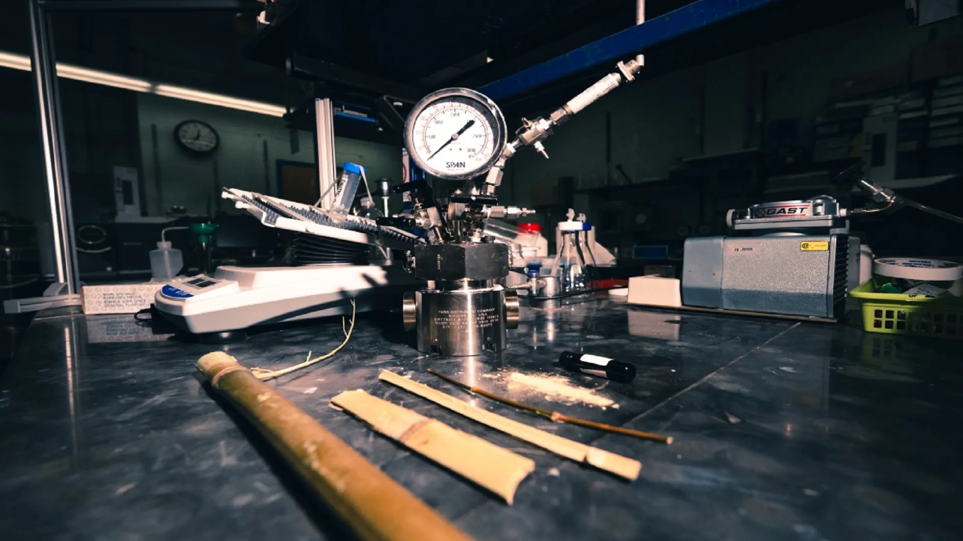 Bamboo-based fuel with 26-fold lower greenhouse emissions could power vehicles, planes
