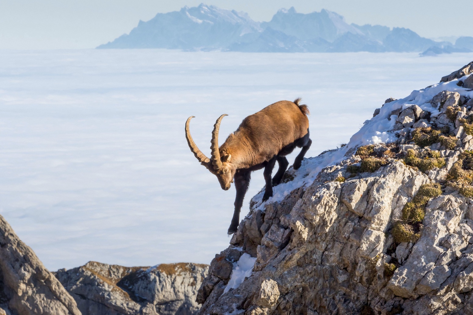 COP17: Developed countries ‘fall far short’ of UN targets for nature finance