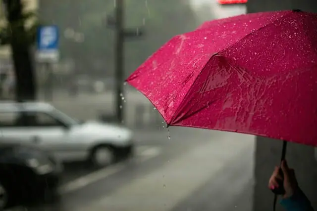 Fruga raises £1m to cut the cost of insurance renewals