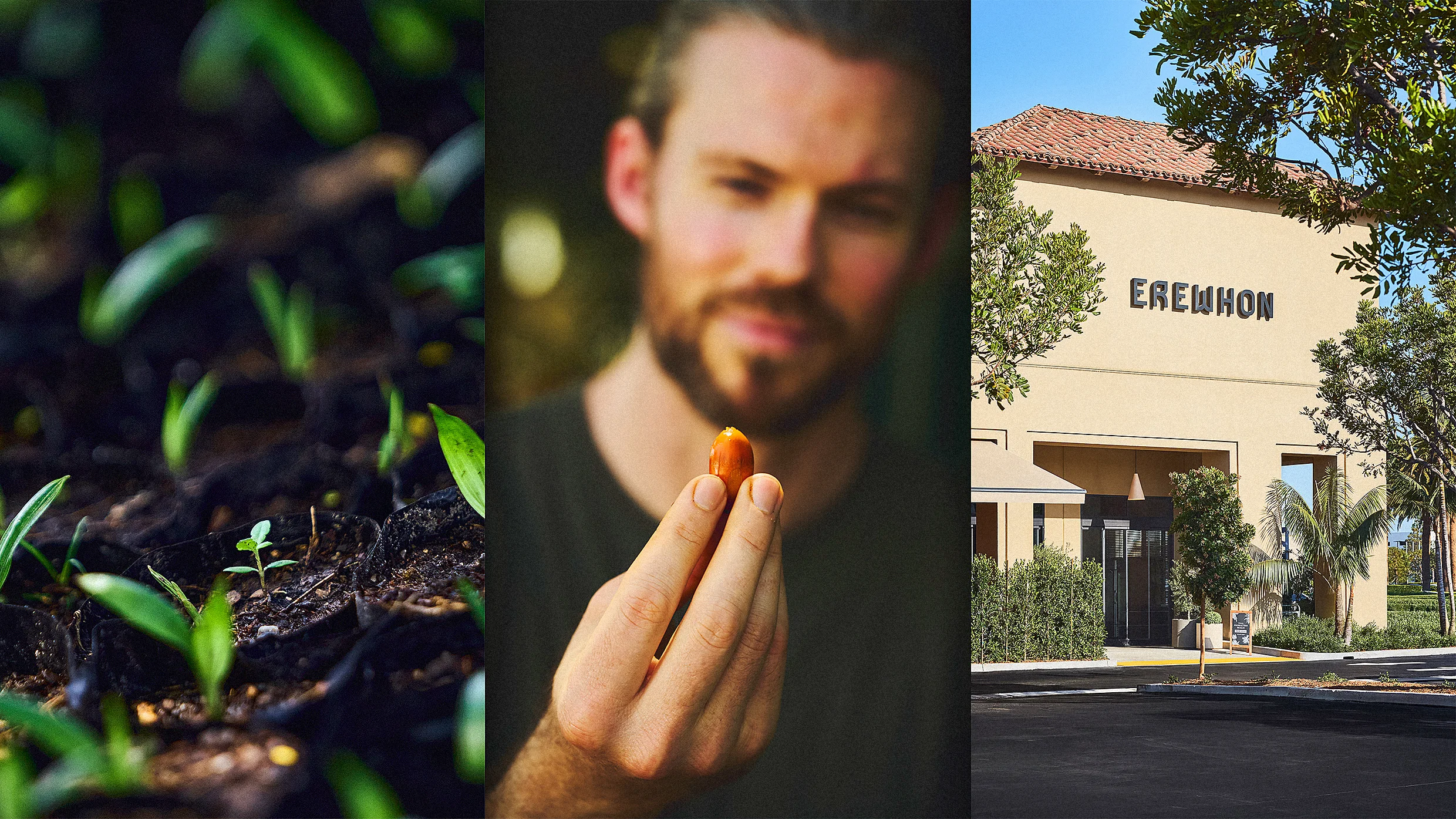 Upscale grocery chain Erewhon will now fry its hot bar foods in this regeneratively farmed oil