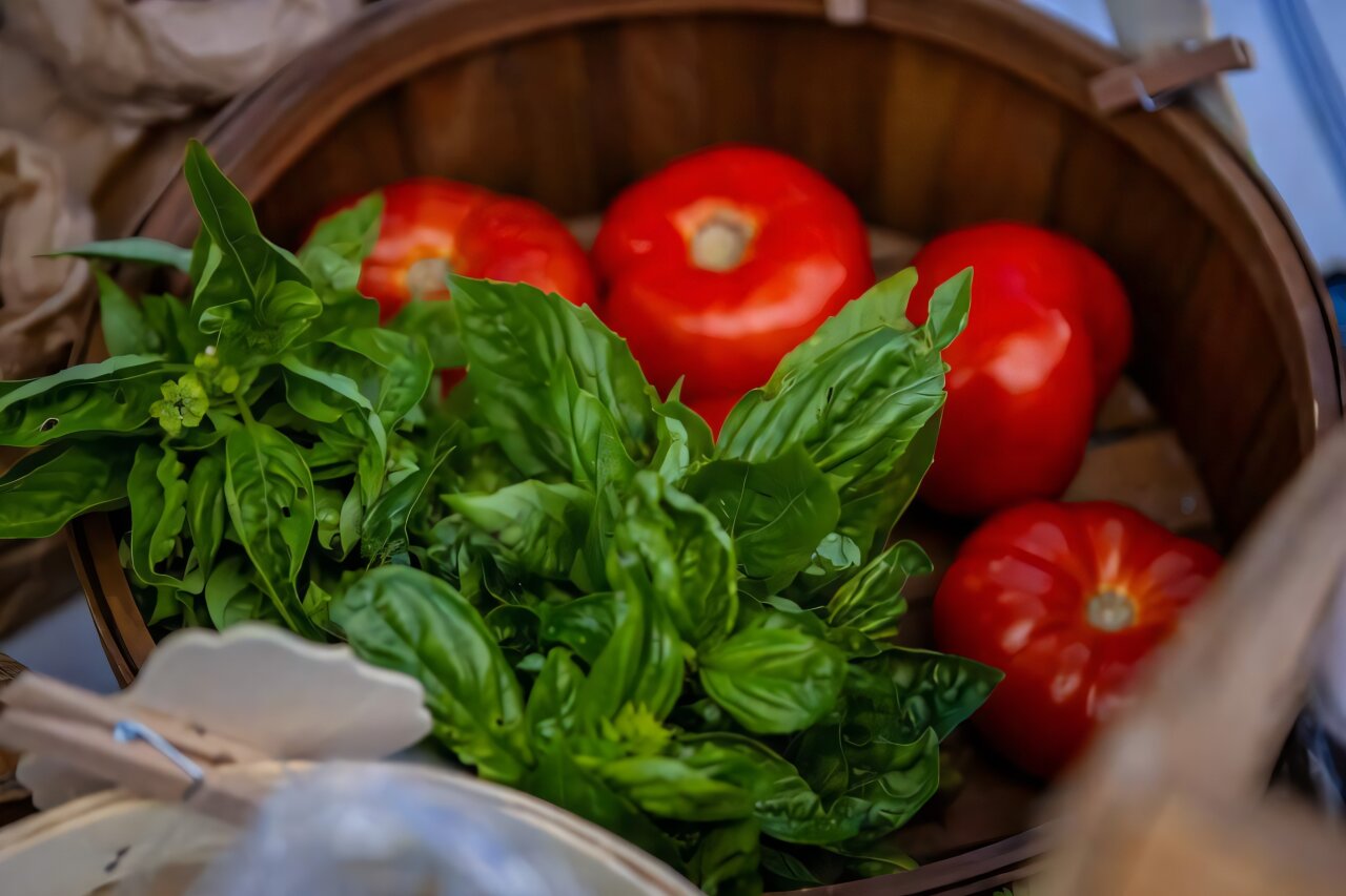 Study: Food prescription programs for food-insecure older adults work best when fresh food is delivered to their door