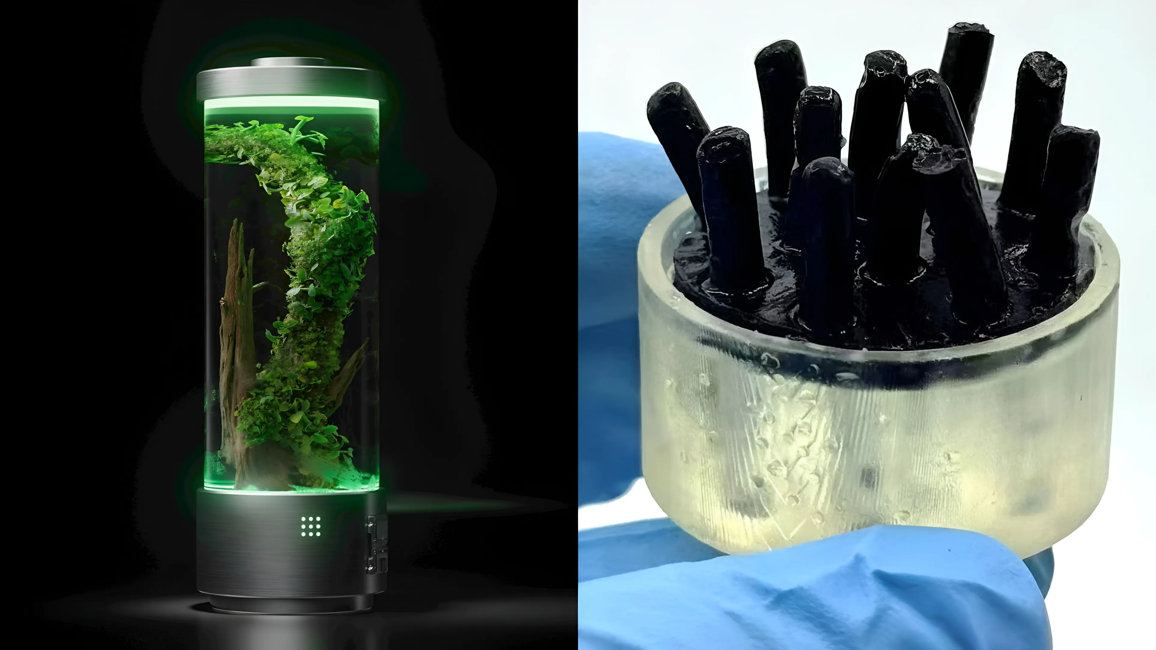 Human gut-inspired biobattery delivers 0.75 volts for 14 hours in US lab tests
