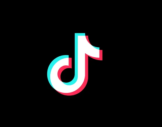 TikTok shares holiday sales data