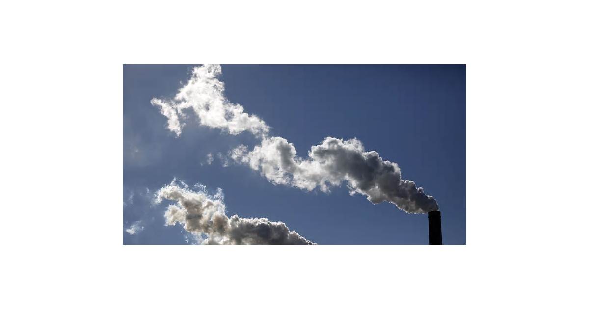 Africa Told to Weigh Own Needs Before Exporting Carbon Credits