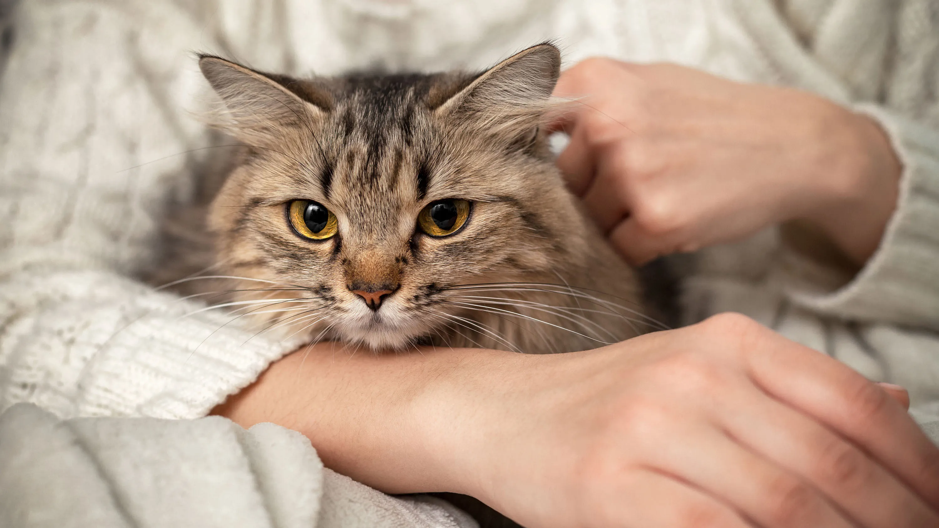 Can’t bear to say goodbye to your pet? Biotech’s got you covered.