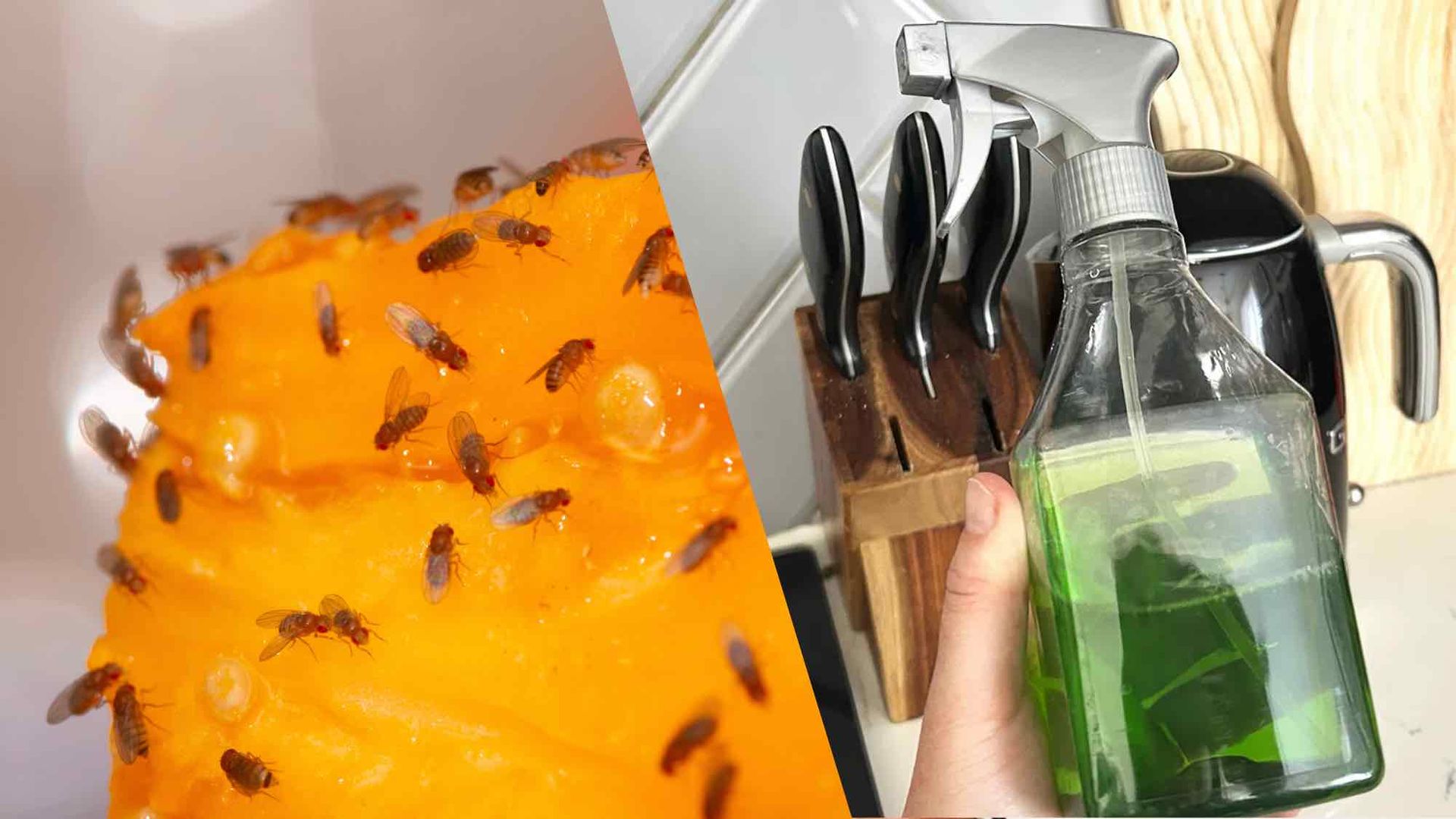 My kitchen was suddenly swarming with fruit flies — this dish soap trick saved my sanity