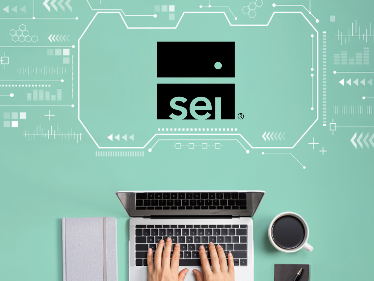 SEI Appoints Kristie Edling-Day as Chief Information Officer