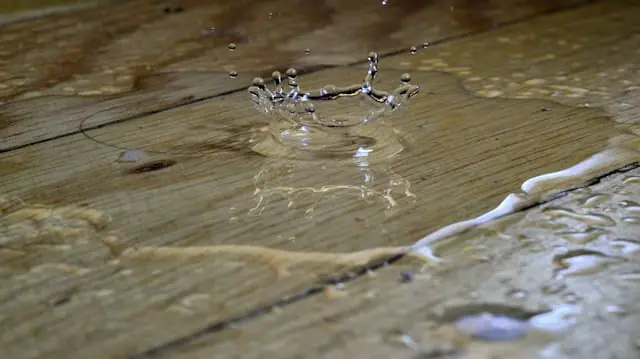 Lockton partners with LAIIER and Watergate to tackle water claims
