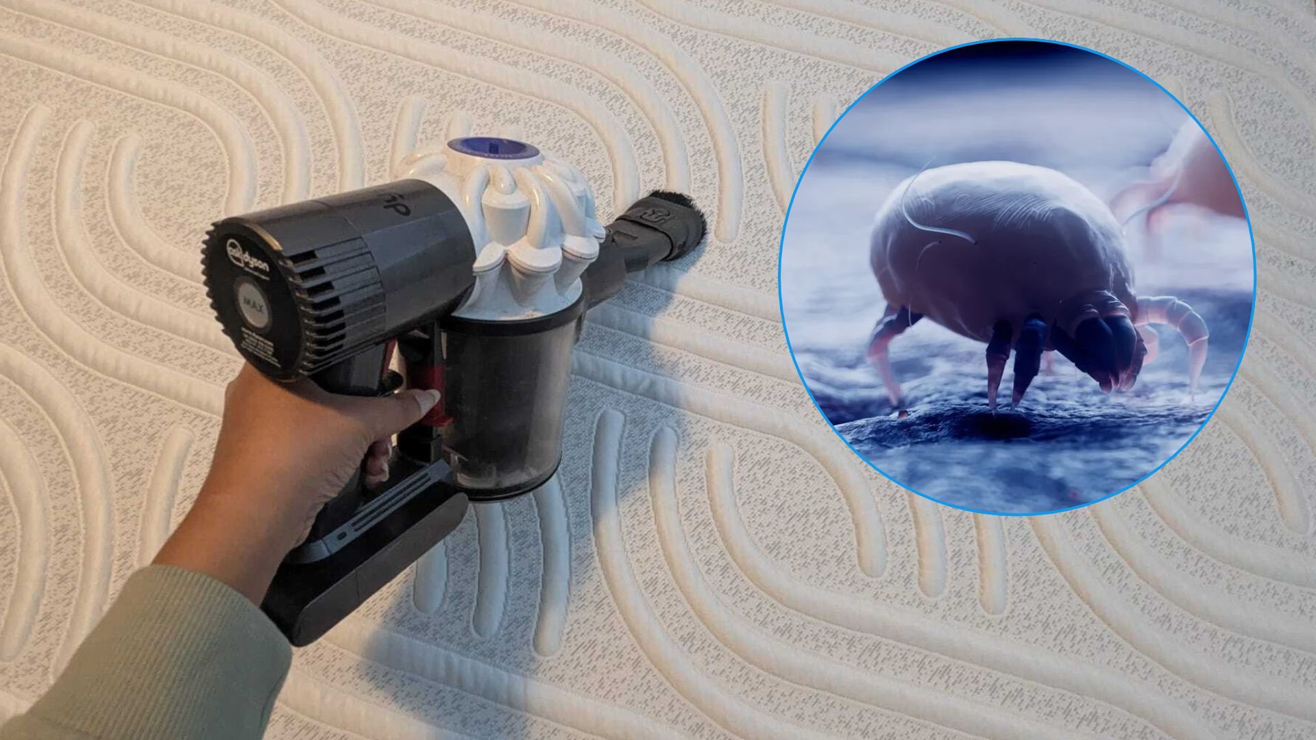 Don't turn your indoor heating on before vacuuming your mattress — dust mite expert explains why