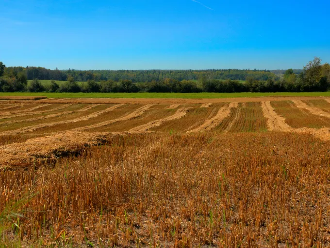 New CATF Tool Enables Users To Evaluate Biomass Carbon Removal Protocols