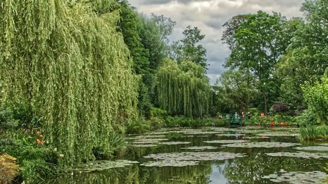 VestGen secures Willow Tree capital to fuel succession push