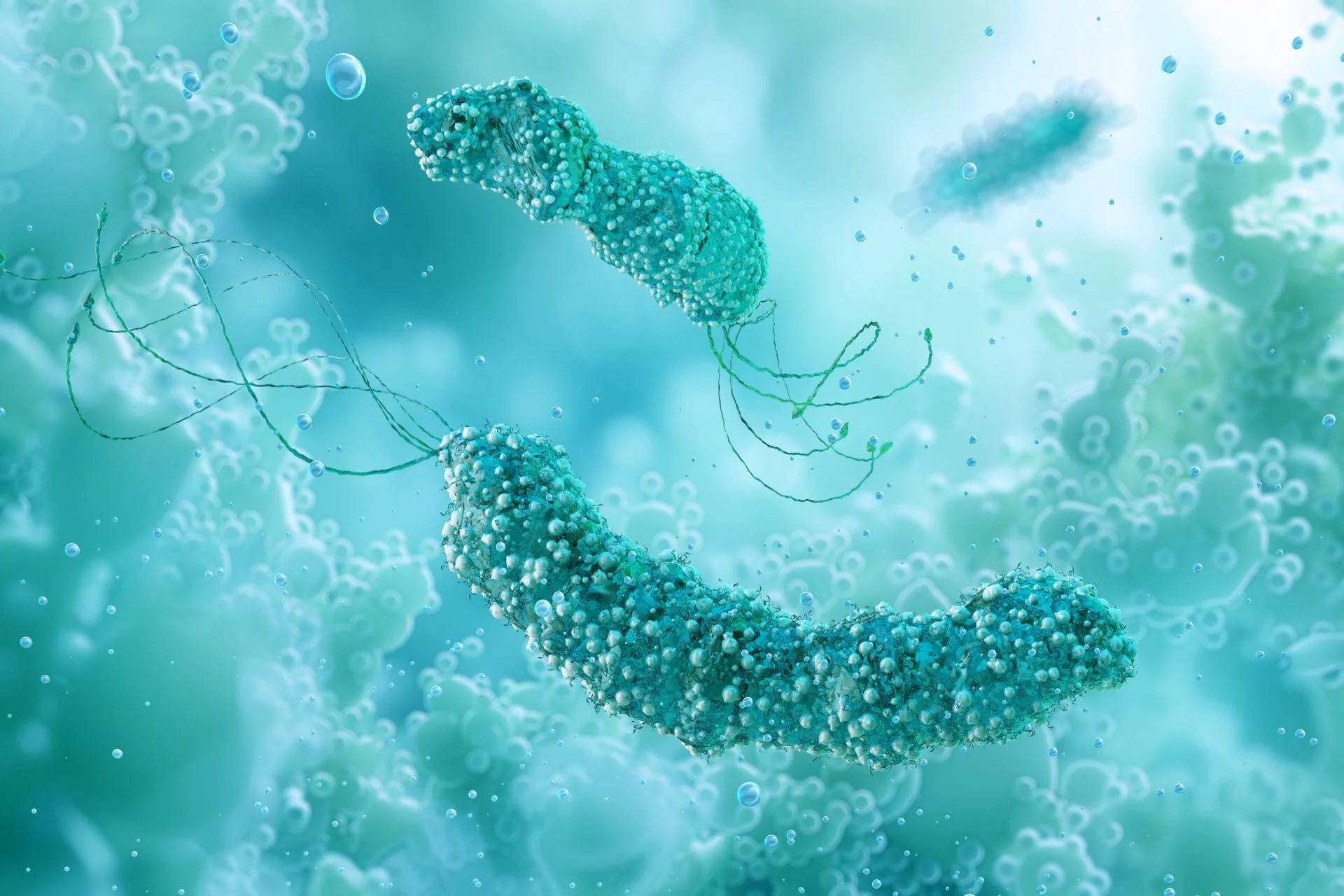 Scientists Find Worrying Link Between Common Ulcer Germ and Colorectal Cancer