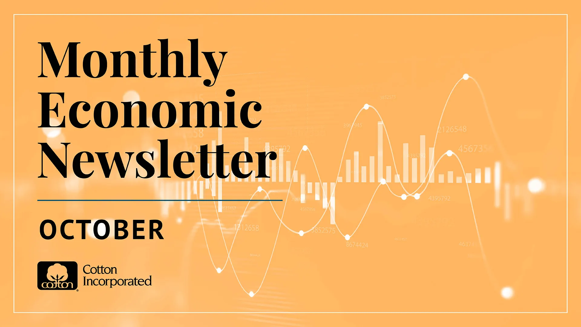 Monthly Cotton Economic Newsletter: October 2026