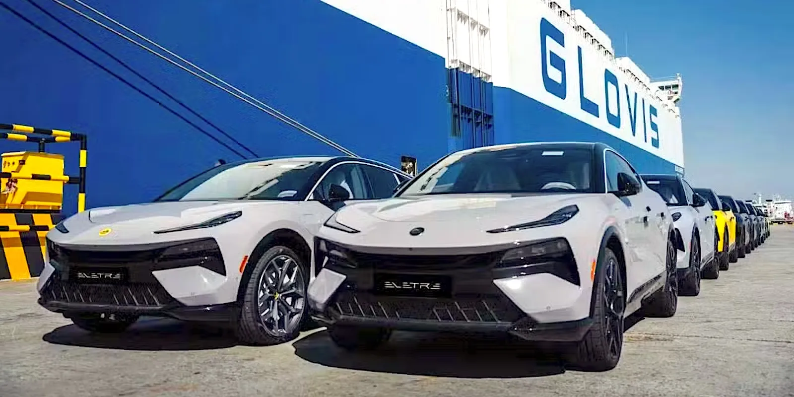 Trouble: buyers would rather wait for Chinese EVs than buy Western ones